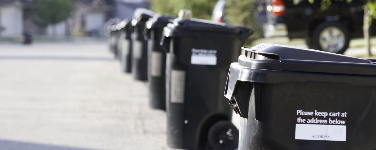 Enjoy Fresh, Germ-Free Bins
